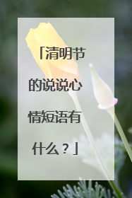 清明节的说说心情短语有什么？