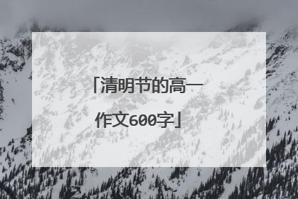 清明节的高一作文600字