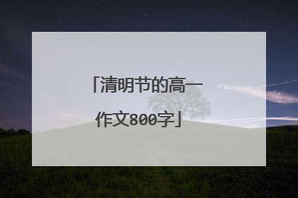 清明节的高一作文800字