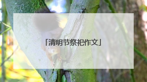 清明节祭祀作文