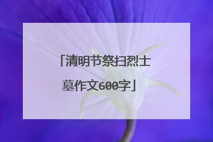 清明节祭扫烈士墓作文600字