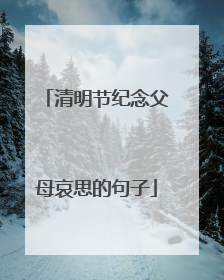 清明节纪念父母哀思的句子