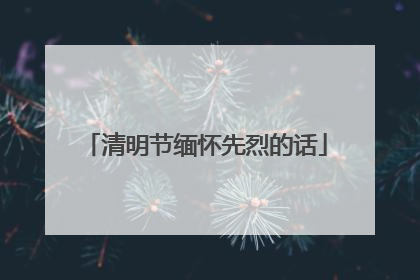 清明节缅怀先烈的话