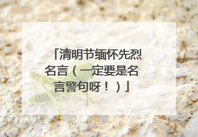 清明节缅怀先烈名言（一定要是名言警句呀！）