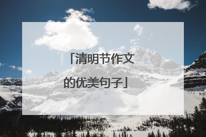 清明节作文的优美句子