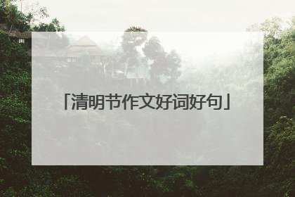清明节作文好词好句