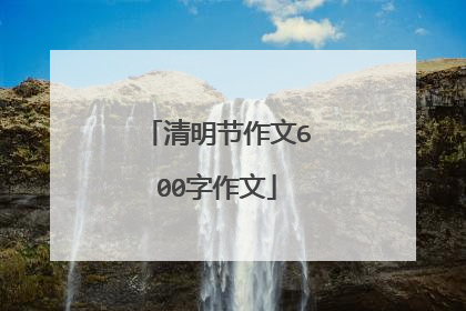 清明节作文600字作文
