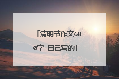 清明节作文600字 自己写的