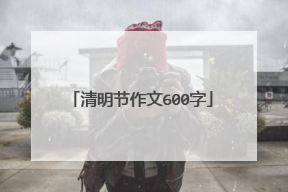 清明节作文600字