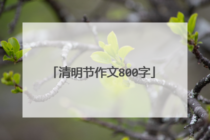 清明节作文800字