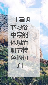 清明节习俗中最能体现清明节特色的句子