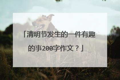 清明节发生的一件有趣的事200字作文？