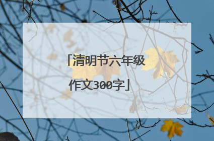 清明节六年级作文300字