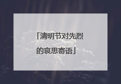 清明节对先烈的哀思寄语