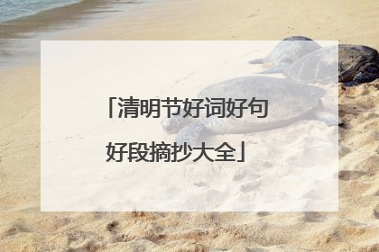 清明节好词好句好段摘抄大全