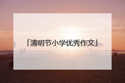 清明节小学优秀作文