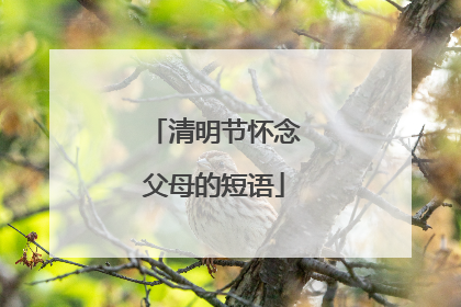 清明节怀念父母的短语