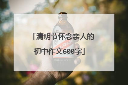 清明节怀念亲人的初中作文600字