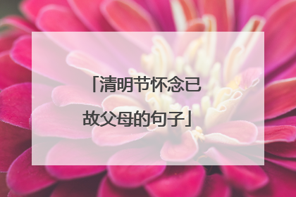清明节怀念已故父母的句子