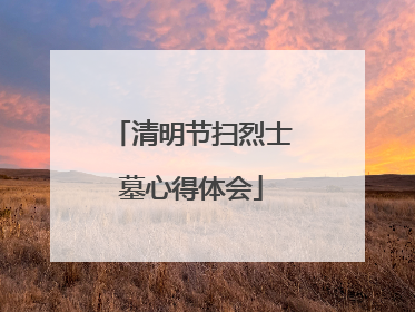 清明节扫烈士墓心得体会