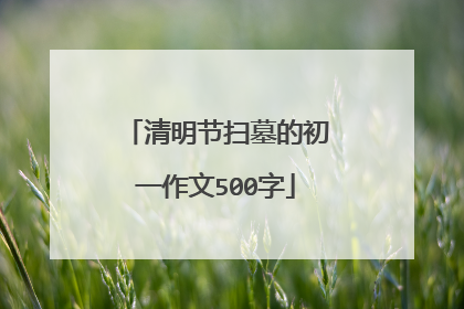 清明节扫墓的初一作文500字