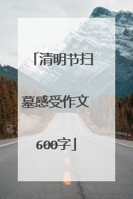 清明节扫墓感受作文600字
