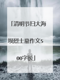 清明节扫大海坝烈士墓作文500字长