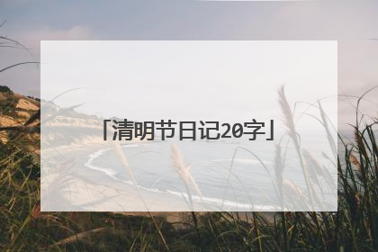 清明节日记20字