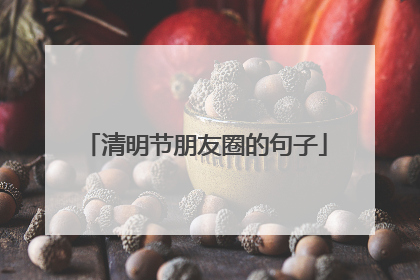 清明节朋友圈的句子