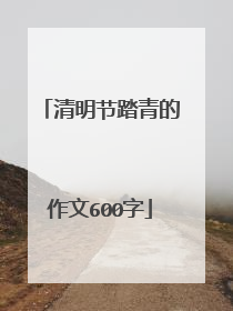 清明节踏青的作文600字
