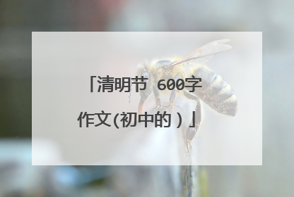 清明节 600字作文(初中的）