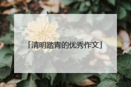 清明踏青的优秀作文
