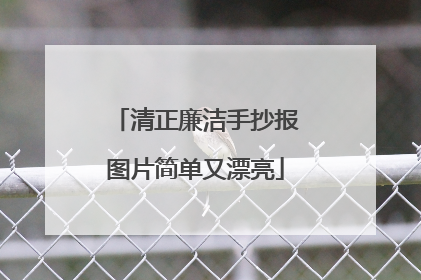 清正廉洁手抄报图片简单又漂亮