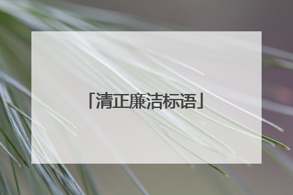 清正廉洁标语