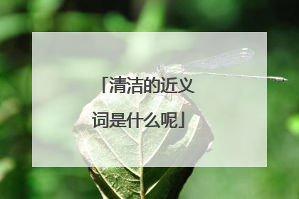 清洁的近义词是什么呢