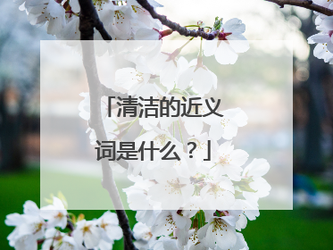 清洁的近义词是什么？