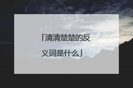 清清楚楚的反义词是什么