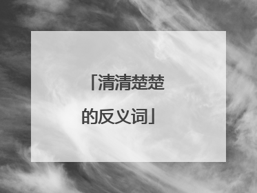 清清楚楚的反义词