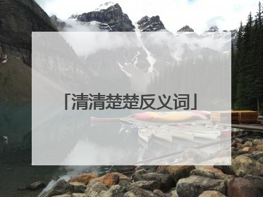 清清楚楚反义词