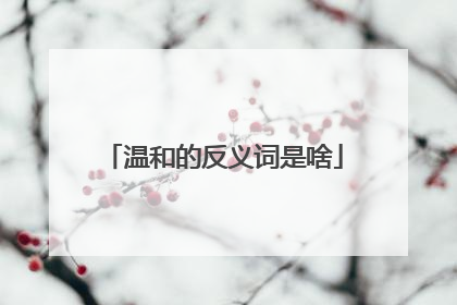 温和的反义词是啥