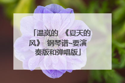 温岚的 《夏天的风》 钢琴谱~要演奏版和弹唱版