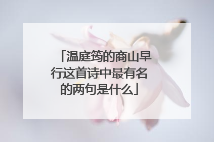 温庭筠的商山早行这首诗中最有名的两句是什么