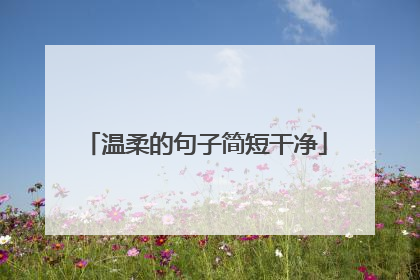 温柔的句子简短干净