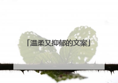 温柔又抑郁的文案