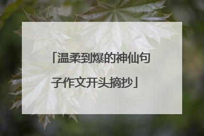 温柔到爆的神仙句子作文开头摘抄