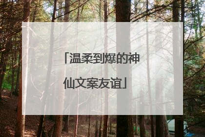 温柔到爆的神仙文案友谊