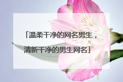 温柔干净的网名男生,清新干净的男生网名