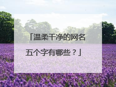 温柔干净的网名五个字有哪些？
