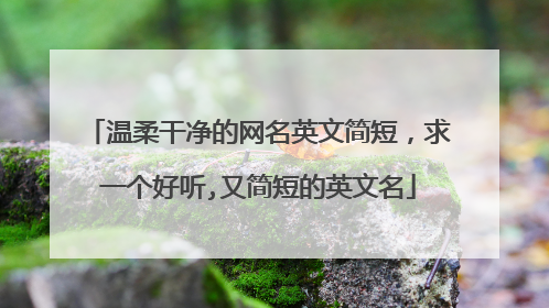 温柔干净的网名英文简短，求一个好听,又简短的英文名