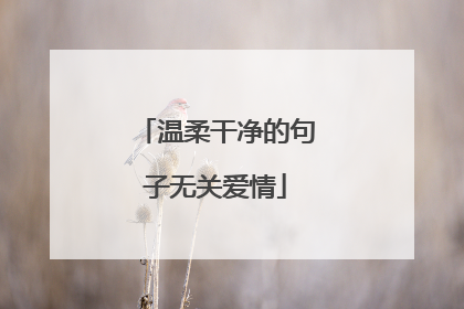 温柔干净的句子无关爱情